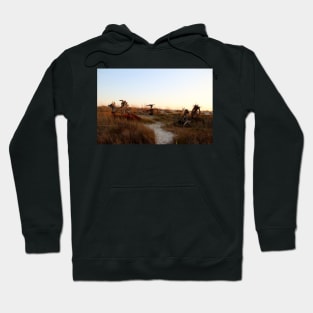 Driftwood Sculptures Hoodie